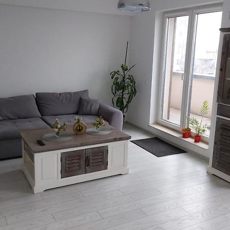 Târgu-MureşMaurer Loft公寓 外观 照片