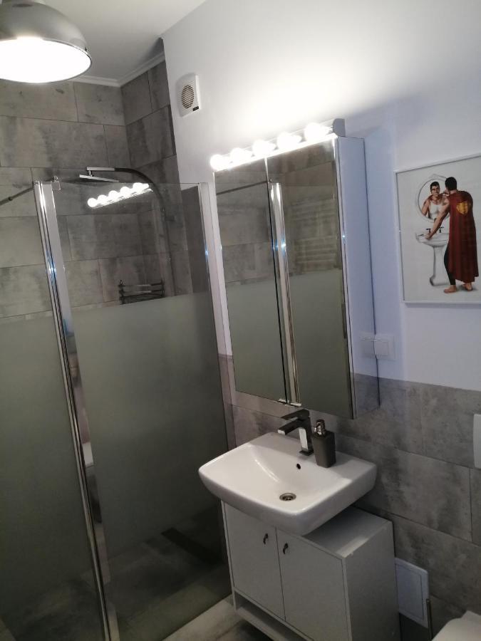 Târgu-MureşMaurer Loft公寓 外观 照片