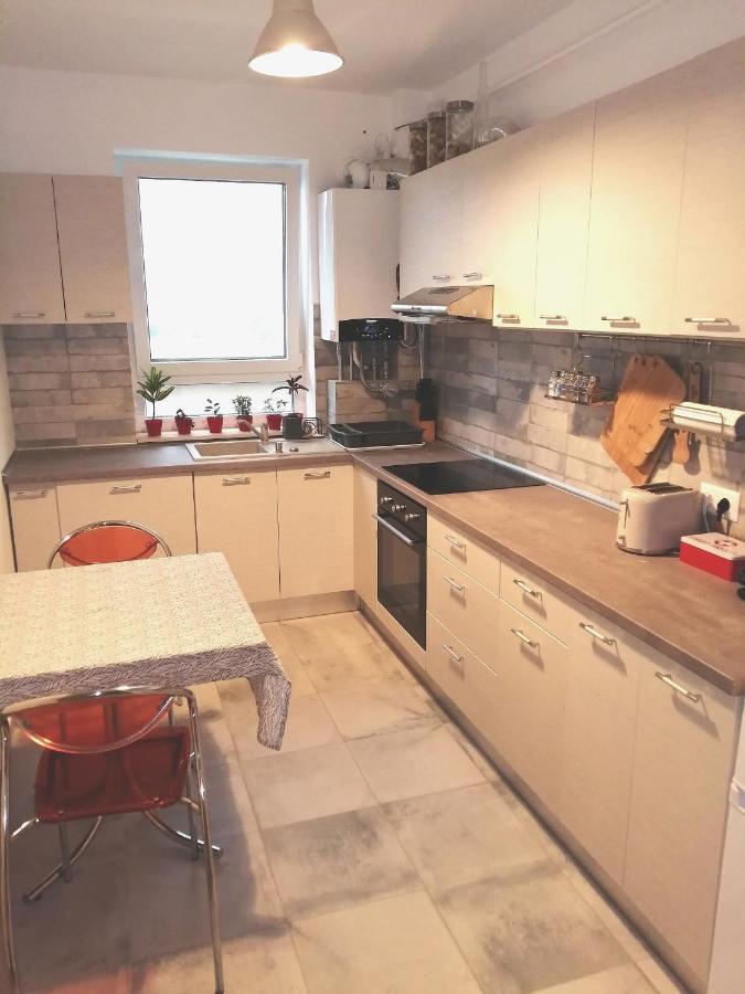 Târgu-MureşMaurer Loft公寓 外观 照片