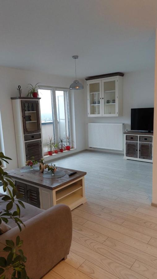 Târgu-MureşMaurer Loft公寓 外观 照片